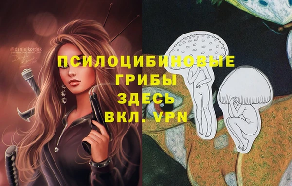 крисы Пролетарск