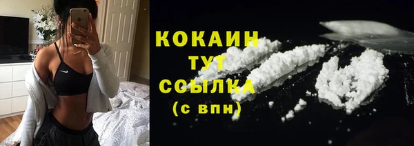 молекула духа Протвино
