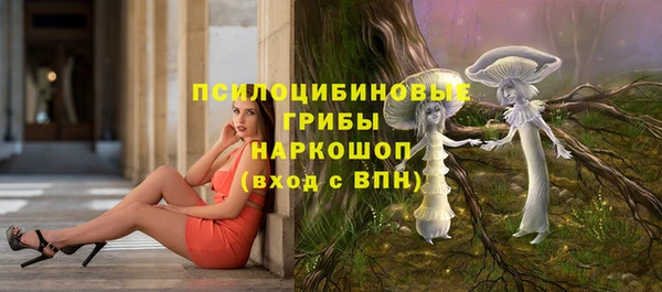 молекула духа Протвино