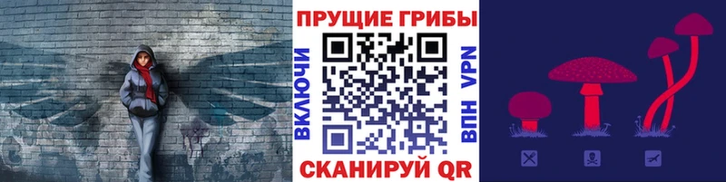 Псилоцибиновые грибы ЛСД  Сортавала 